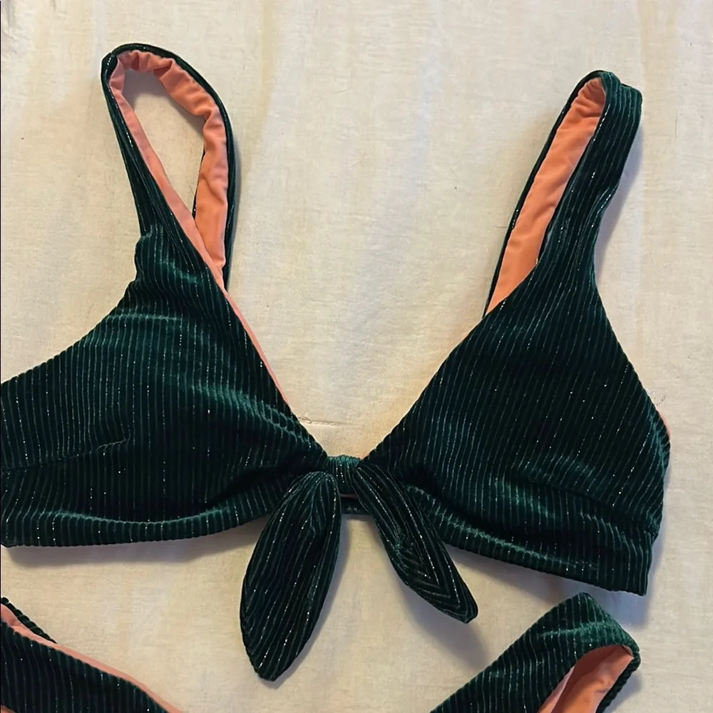 Frankies Bikinis dive into
